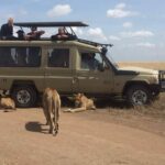 5 Days Tanzania Safari: Wildlife Wonders of the North