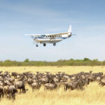 6 Days Luxury Tanzania Safari – Fly Back from Serengeti
